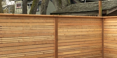 IMG_2856