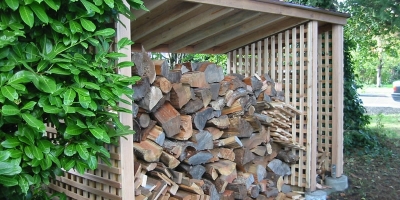 cedar-lean-to-alex